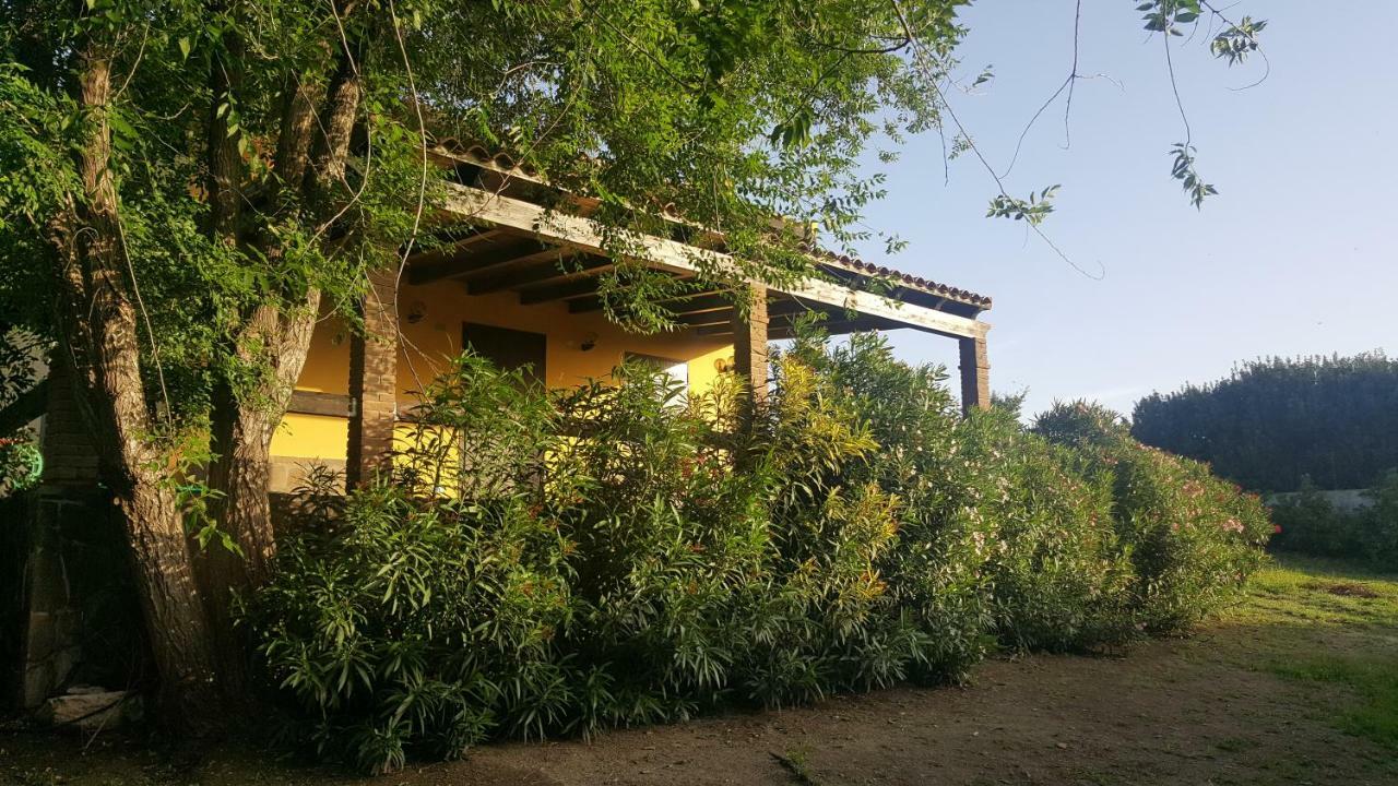 Villa Rifugio Della Pace Piano Terra E Primo Piano Sant Isidoro  Exterior foto